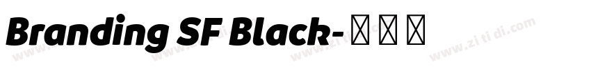 Branding SF Black字体转换